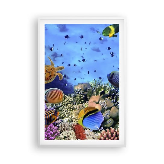 Obraz - Plakat - I co my wiemy o życiu... - 61x91cm - Rafa Koralowa Podwodny Świat Ryby - Foto Plakaty na ścianę w ramie białej - Plakat do Salonu Sypialni ARTTOR ARTTOR