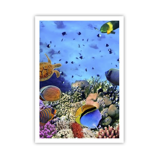 Obraz - Plakat - I co my wiemy o życiu... - 70x100cm - Rafa Koralowa Podwodny Świat Ryby - Foto Plakaty bez ramy na ścianę do Salonu Sypialni ARTTOR ARTTOR