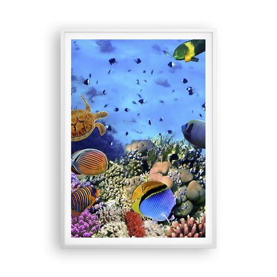 Obraz - Plakat - I co my wiemy o życiu... - 70x100cm - Rafa Koralowa Podwodny Świat Ryby - Foto Plakaty w ramie koloru białego do Salonu Sypialni ARTTOR ARTTOR