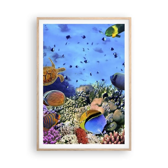 Obraz - Plakat - I co my wiemy o życiu... - 70x100cm - Rafa Koralowa Podwodny Świat Ryby - Foto Plakaty w ramie koloru jasny dąb do Salonu Sypialni ARTTOR ARTTOR