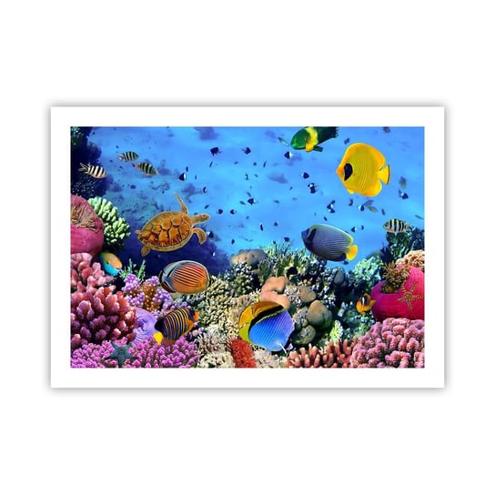 Obraz - Plakat - I co my wiemy o życiu... - 70x50cm - Rafa Koralowa Podwodny Świat Ryby - Nowoczesny modny obraz Plakat bez ramy do Salonu Sypialni ARTTOR ARTTOR
