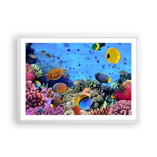 Obraz - Plakat - I co my wiemy o życiu... - 70x50cm - Rafa Koralowa Podwodny Świat Ryby - Nowoczesny modny obraz Plakat rama biała ARTTOR ARTTOR
