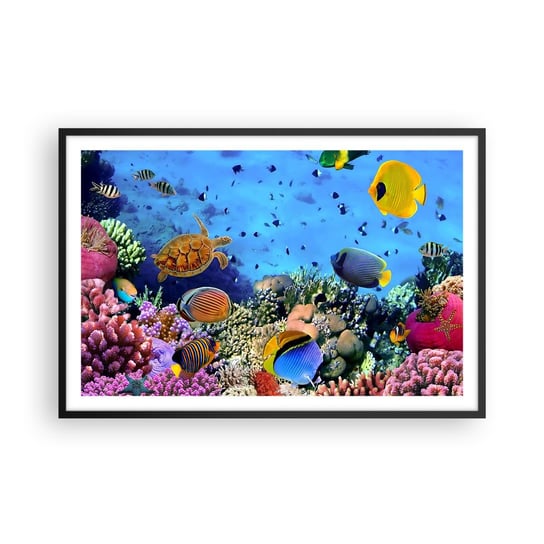 Obraz - Plakat - I co my wiemy o życiu... - 91x61cm - Rafa Koralowa Podwodny Świat Ryby - Foto Plakaty na ścianę w czarnej ramie - Plakat do Salonu Sypialni ARTTOR ARTTOR