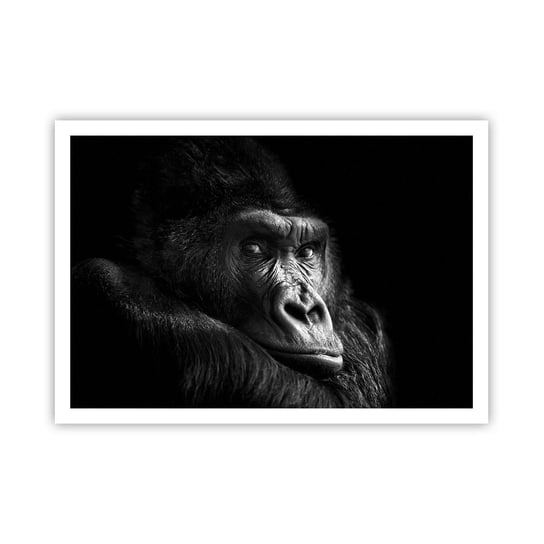 Obraz - Plakat - I co się patrzysz? - 100x70cm - Małpa Goryl Zwierzęta - Foto Plakaty bez ramy na ścianę do Salonu Sypialni ARTTOR ARTTOR