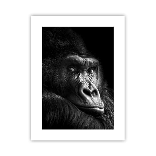 Obraz - Plakat - I co się patrzysz? - 30x40cm - Małpa Goryl Zwierzęta - Foto Plakaty na ścianę bez ramy - Plakat do Salonu Sypialni ARTTOR ARTTOR