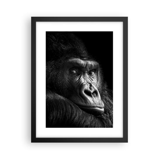 Obraz - Plakat - I co się patrzysz? - 30x40cm - Małpa Goryl Zwierzęta - Foto Plakaty na ścianę w czarnej ramie - Plakat do Salonu Sypialni ARTTOR ARTTOR