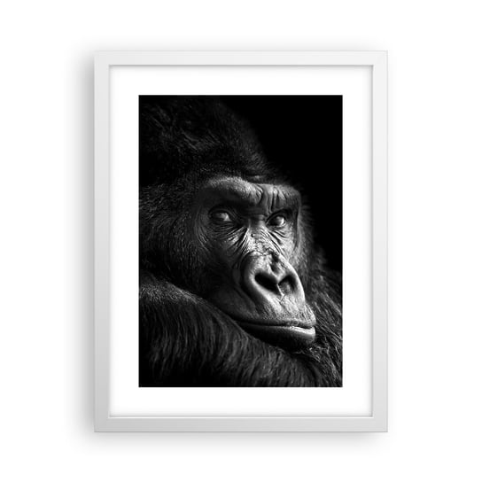Obraz - Plakat - I co się patrzysz? - 30x40cm - Małpa Goryl Zwierzęta - Foto Plakaty na ścianę w ramie białej - Plakat do Salonu Sypialni ARTTOR ARTTOR