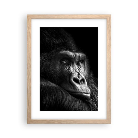 Obraz - Plakat - I co się patrzysz? - 30x40cm - Małpa Goryl Zwierzęta - Foto Plakaty na ścianę w ramie jasny dąb - Plakat do Salonu Sypialni ARTTOR ARTTOR