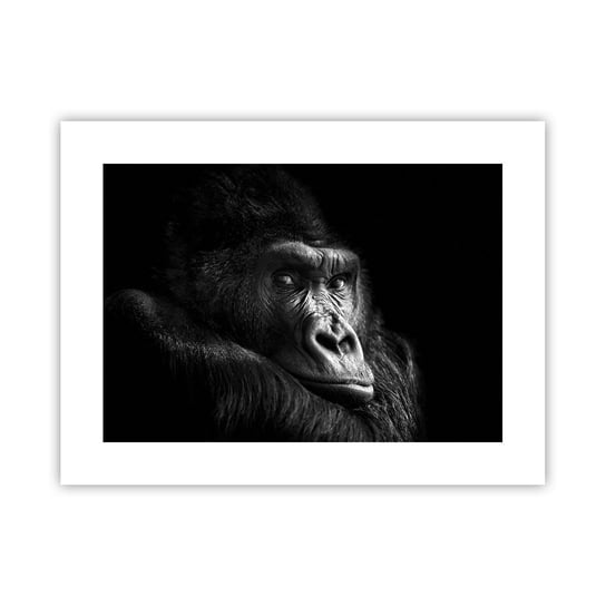 Obraz - Plakat - I co się patrzysz? - 40x30cm - Małpa Goryl Zwierzęta - Foto Plakaty na ścianę bez ramy - Plakat do Salonu Sypialni ARTTOR ARTTOR