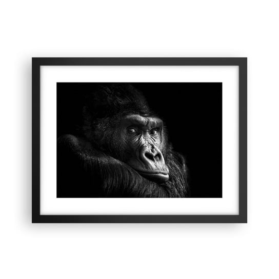 Obraz - Plakat - I co się patrzysz? - 40x30cm - Małpa Goryl Zwierzęta - Foto Plakaty na ścianę w czarnej ramie - Plakat do Salonu Sypialni ARTTOR ARTTOR