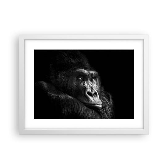Obraz - Plakat - I co się patrzysz? - 40x30cm - Małpa Goryl Zwierzęta - Foto Plakaty na ścianę w ramie białej - Plakat do Salonu Sypialni ARTTOR ARTTOR