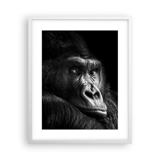 Obraz - Plakat - I co się patrzysz? - 40x50cm - Małpa Goryl Zwierzęta - Foto Plakaty w ramie koloru białego do Salonu Sypialni ARTTOR ARTTOR