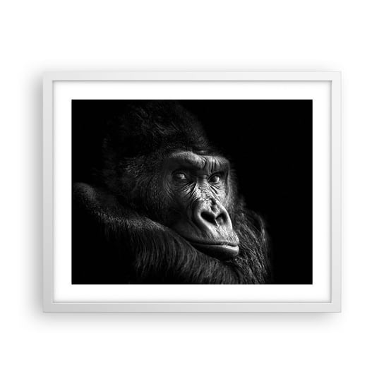 Obraz - Plakat - I co się patrzysz? - 50x40cm - Małpa Goryl Zwierzęta - Foto Plakaty w ramie koloru białego do Salonu Sypialni ARTTOR ARTTOR
