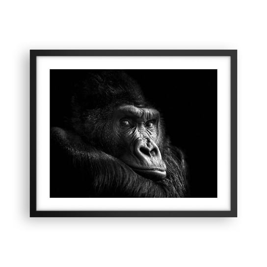 Obraz - Plakat - I co się patrzysz? - 50x40cm - Małpa Goryl Zwierzęta - Foto Plakaty w ramie koloru czarnego do Salonu Sypialni ARTTOR ARTTOR