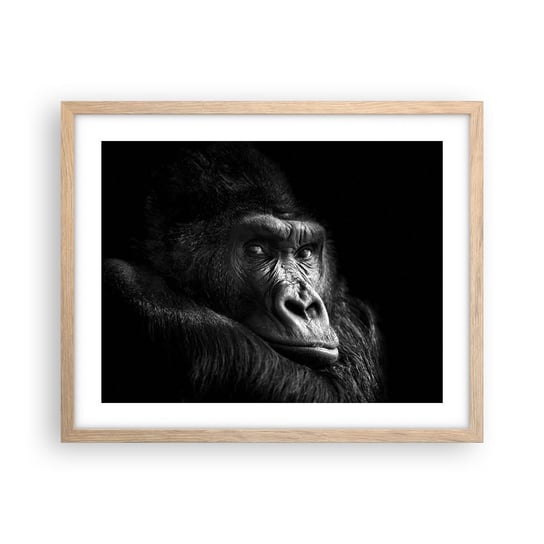 Obraz - Plakat - I co się patrzysz? - 50x40cm - Małpa Goryl Zwierzęta - Foto Plakaty w ramie koloru jasny dąb do Salonu Sypialni ARTTOR ARTTOR