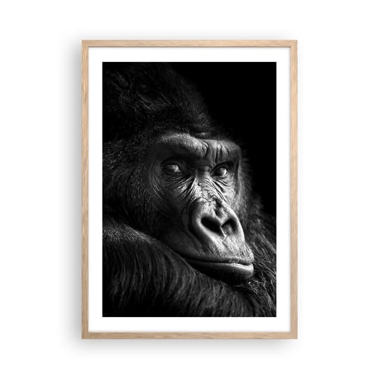 Obraz - Plakat - I co się patrzysz? - 50x70cm - Małpa Goryl Zwierzęta - Nowoczesny modny obraz Plakat rama jasny dąb ARTTOR ARTTOR