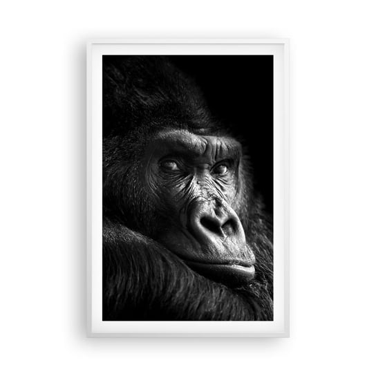 Obraz - Plakat - I co się patrzysz? - 61x91cm - Małpa Goryl Zwierzęta - Foto Plakaty na ścianę w ramie białej - Plakat do Salonu Sypialni ARTTOR ARTTOR