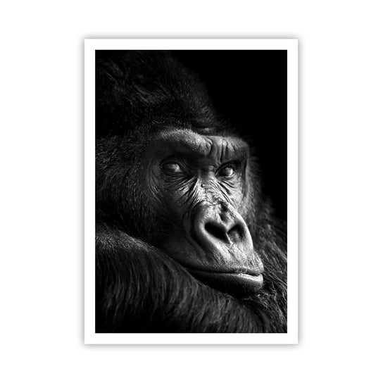 Obraz - Plakat - I co się patrzysz? - 70x100cm - Małpa Goryl Zwierzęta - Foto Plakaty bez ramy na ścianę do Salonu Sypialni ARTTOR ARTTOR