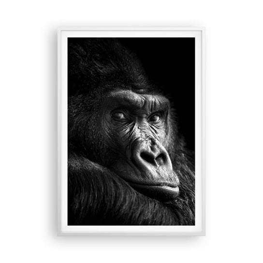 Obraz - Plakat - I co się patrzysz? - 70x100cm - Małpa Goryl Zwierzęta - Foto Plakaty w ramie koloru białego do Salonu Sypialni ARTTOR ARTTOR