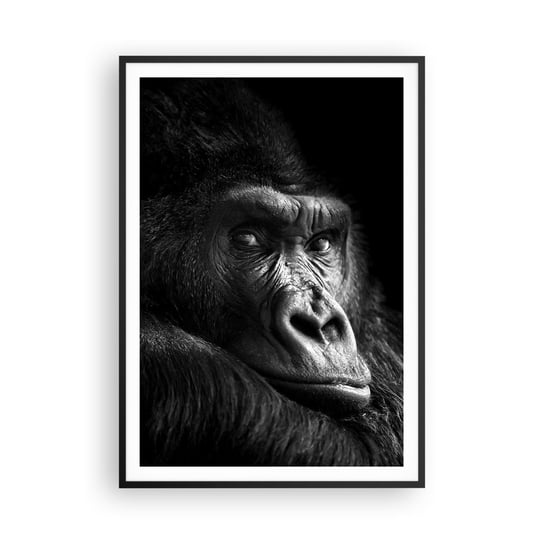 Obraz - Plakat - I co się patrzysz? - 70x100cm - Małpa Goryl Zwierzęta - Foto Plakaty w ramie koloru czarnego do Salonu Sypialni ARTTOR ARTTOR