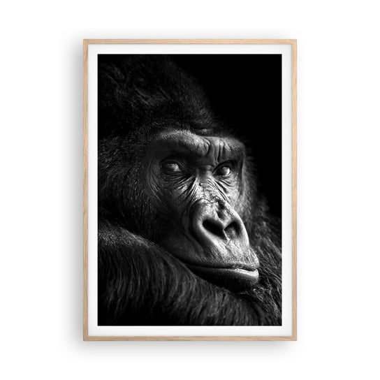 Obraz - Plakat - I co się patrzysz? - 70x100cm - Małpa Goryl Zwierzęta - Foto Plakaty w ramie koloru jasny dąb do Salonu Sypialni ARTTOR ARTTOR