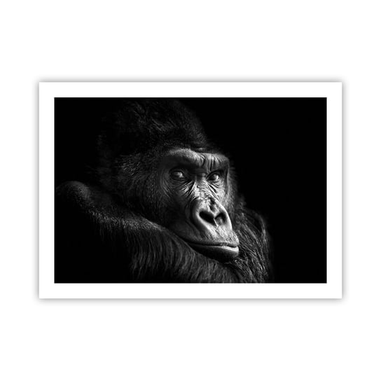 Obraz - Plakat - I co się patrzysz? - 70x50cm - Małpa Goryl Zwierzęta - Nowoczesny modny obraz Plakat bez ramy do Salonu Sypialni ARTTOR ARTTOR
