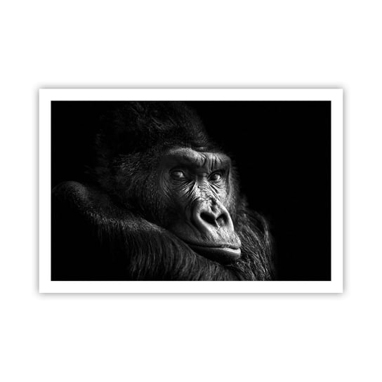 Obraz - Plakat - I co się patrzysz? - 91x61cm - Małpa Goryl Zwierzęta - Foto Plakaty na ścianę bez ramy - Plakat do Salonu Sypialni ARTTOR ARTTOR