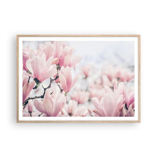 Obraz - Plakat - Ideał subtelności - 100x70cm - Magnolia Kwiaty Drzewo Magnolii - Foto Plakaty w ramie koloru jasny dąb do Salonu Sypialni ARTTOR ARTTOR