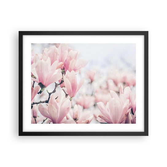 Obraz - Plakat - Ideał subtelności - 50x40cm - Magnolia Kwiaty Drzewo Magnolii - Foto Plakaty w ramie koloru czarnego do Salonu Sypialni ARTTOR ARTTOR