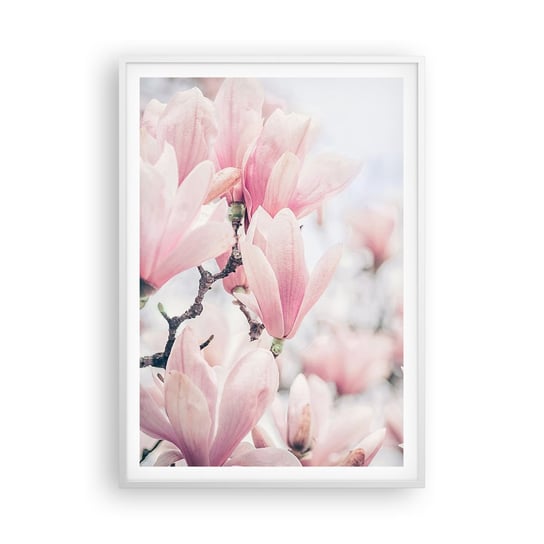 Obraz - Plakat - Ideał subtelności - 70x100cm - Magnolia Kwiaty Drzewo Magnolii - Foto Plakaty w ramie koloru białego do Salonu Sypialni ARTTOR ARTTOR