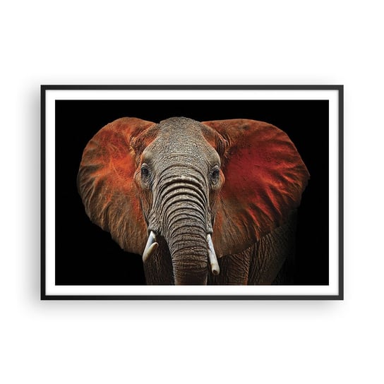 Obraz - Plakat - Jestem dziki, a ty? - 100x70cm - Słoń Zwierzęta Afryka - Foto Plakaty w ramie koloru czarnego do Salonu Sypialni ARTTOR ARTTOR