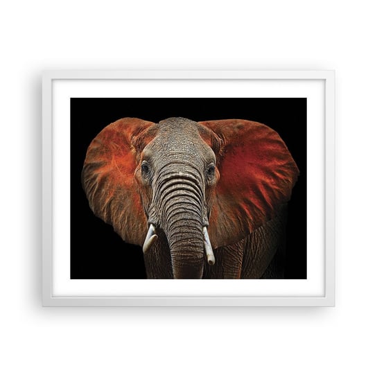 Obraz - Plakat - Jestem dziki, a ty? - 50x40cm - Słoń Zwierzęta Afryka - Foto Plakaty w ramie koloru białego do Salonu Sypialni ARTTOR ARTTOR