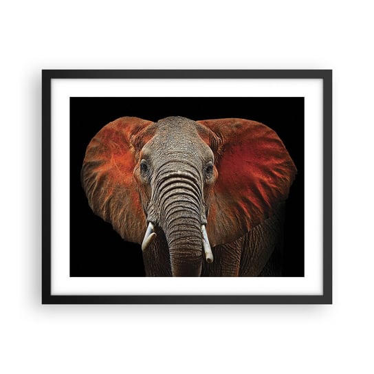 Obraz - Plakat - Jestem dziki, a ty? - 50x40cm - Słoń Zwierzęta Afryka - Foto Plakaty w ramie koloru czarnego do Salonu Sypialni ARTTOR ARTTOR