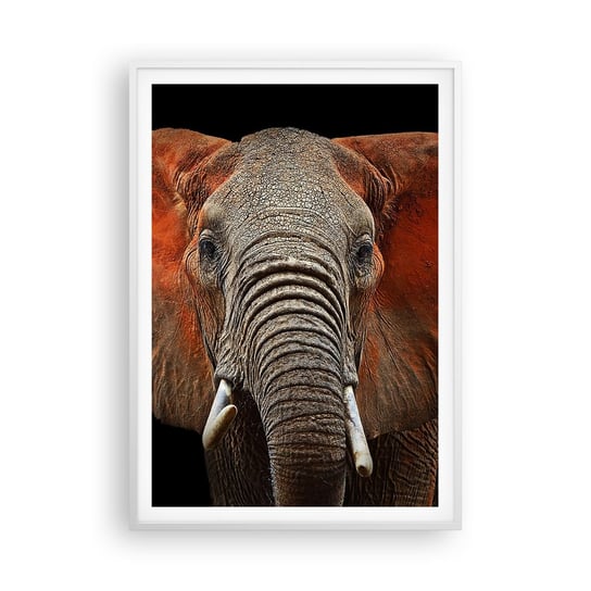 Obraz - Plakat - Jestem dziki, a ty? - 70x100cm - Słoń Zwierzęta Afryka - Foto Plakaty w ramie koloru białego do Salonu Sypialni ARTTOR ARTTOR