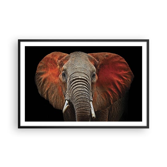 Obraz - Plakat - Jestem dziki, a ty? - 91x61cm - Słoń Zwierzęta Afryka - Foto Plakaty na ścianę w czarnej ramie - Plakat do Salonu Sypialni ARTTOR ARTTOR