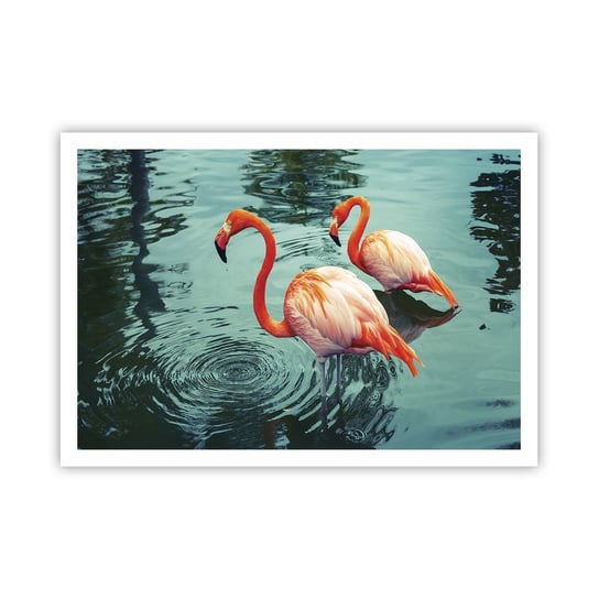 Obraz - Plakat - Jesteśmy teraz w modzie - 100x70cm - Flamingi Ptaki Natura - Foto Plakaty bez ramy na ścianę do Salonu Sypialni ARTTOR ARTTOR