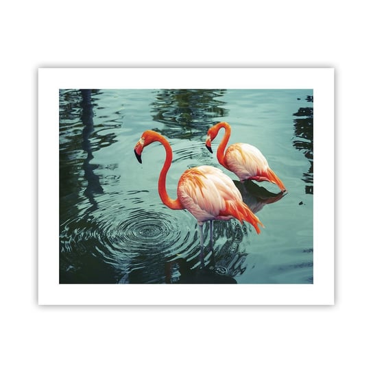 Obraz - Plakat - Jesteśmy teraz w modzie - 50x40cm - Flamingi Ptaki Natura - Foto Plakaty bez ramy do Salonu Sypialni ARTTOR ARTTOR