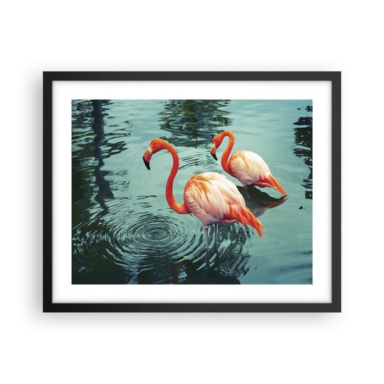 Obraz - Plakat - Jesteśmy teraz w modzie - 50x40cm - Flamingi Ptaki Natura - Foto Plakaty w ramie koloru czarnego do Salonu Sypialni ARTTOR ARTTOR