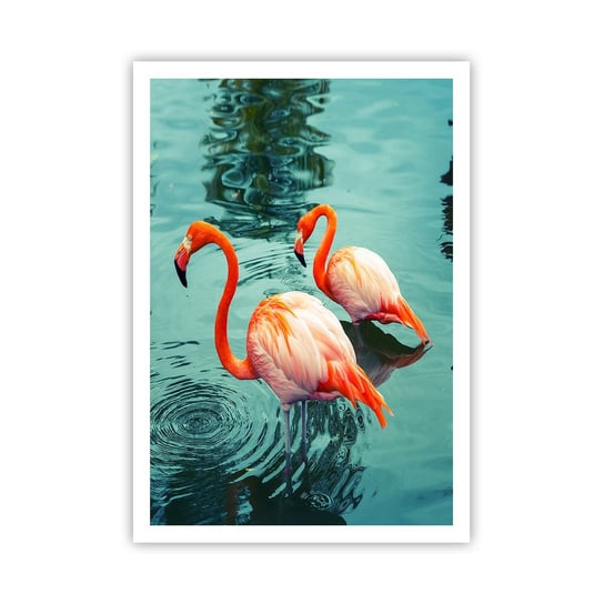 Obraz - Plakat - Jesteśmy teraz w modzie - 70x100cm - Flamingi Ptaki Natura - Foto Plakaty bez ramy na ścianę do Salonu Sypialni ARTTOR ARTTOR