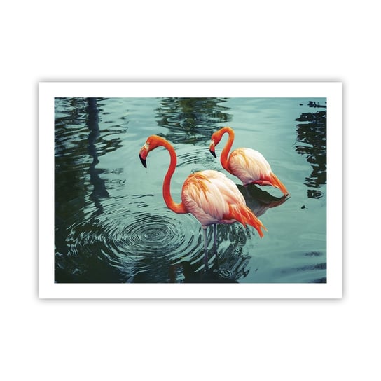 Obraz - Plakat - Jesteśmy teraz w modzie - 70x50cm - Flamingi Ptaki Natura - Nowoczesny modny obraz Plakat bez ramy do Salonu Sypialni ARTTOR ARTTOR