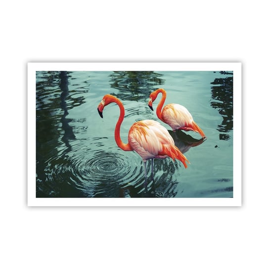 Obraz - Plakat - Jesteśmy teraz w modzie - 91x61cm - Flamingi Ptaki Natura - Foto Plakaty na ścianę bez ramy - Plakat do Salonu Sypialni ARTTOR ARTTOR