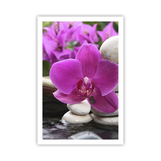 Obraz - Plakat - Już odpoczywasz - 61x91cm - Kwiaty Bambus Orchidea - Foto Plakaty na ścianę bez ramy - Plakat do Salonu Sypialni ARTTOR ARTTOR