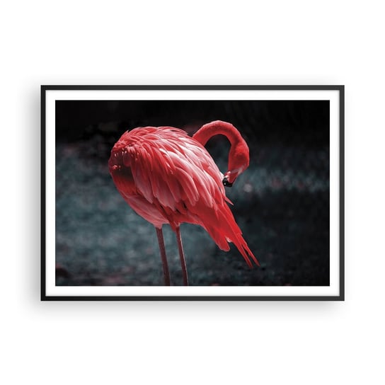 Obraz - Plakat - Karmazynowy poemat natury - 100x70cm - Flaming Ptak Natura - Foto Plakaty w ramie koloru czarnego do Salonu Sypialni ARTTOR ARTTOR