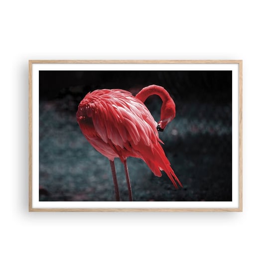 Obraz - Plakat - Karmazynowy poemat natury - 100x70cm - Flaming Ptak Natura - Foto Plakaty w ramie koloru jasny dąb do Salonu Sypialni ARTTOR ARTTOR