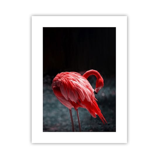 Obraz - Plakat - Karmazynowy poemat natury - 30x40cm - Flaming Ptak Natura - Foto Plakaty na ścianę bez ramy - Plakat do Salonu Sypialni ARTTOR ARTTOR