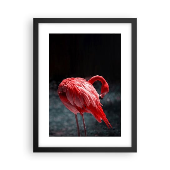 Obraz - Plakat - Karmazynowy poemat natury - 30x40cm - Flaming Ptak Natura - Foto Plakaty na ścianę w czarnej ramie - Plakat do Salonu Sypialni ARTTOR ARTTOR