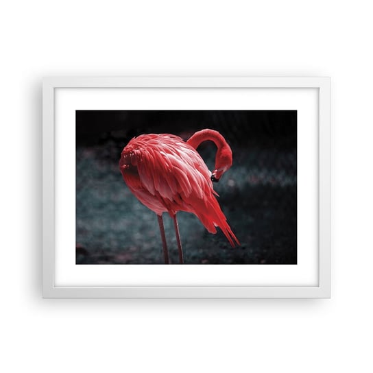 Obraz - Plakat - Karmazynowy poemat natury - 40x30cm - Flaming Ptak Natura - Foto Plakaty na ścianę w ramie białej - Plakat do Salonu Sypialni ARTTOR ARTTOR