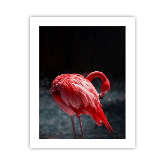 Obraz - Plakat - Karmazynowy poemat natury - 40x50cm - Flaming Ptak Natura - Foto Plakaty bez ramy do Salonu Sypialni ARTTOR ARTTOR