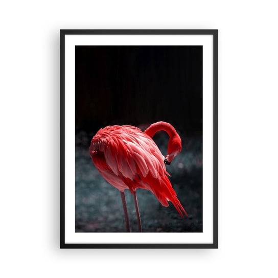 Obraz - Plakat - Karmazynowy poemat natury - 50x70cm - Flaming Ptak Natura - Nowoczesny modny obraz Plakat czarna rama ARTTOR ARTTOR