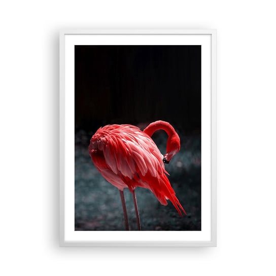 Obraz - Plakat - Karmazynowy poemat natury - 50x70cm - Flaming Ptak Natura - Nowoczesny modny obraz Plakat rama biała ARTTOR ARTTOR